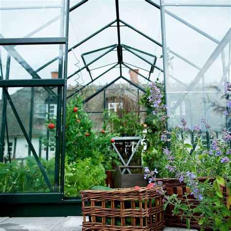 Juliana Greenhouses – Danish Top Quality .